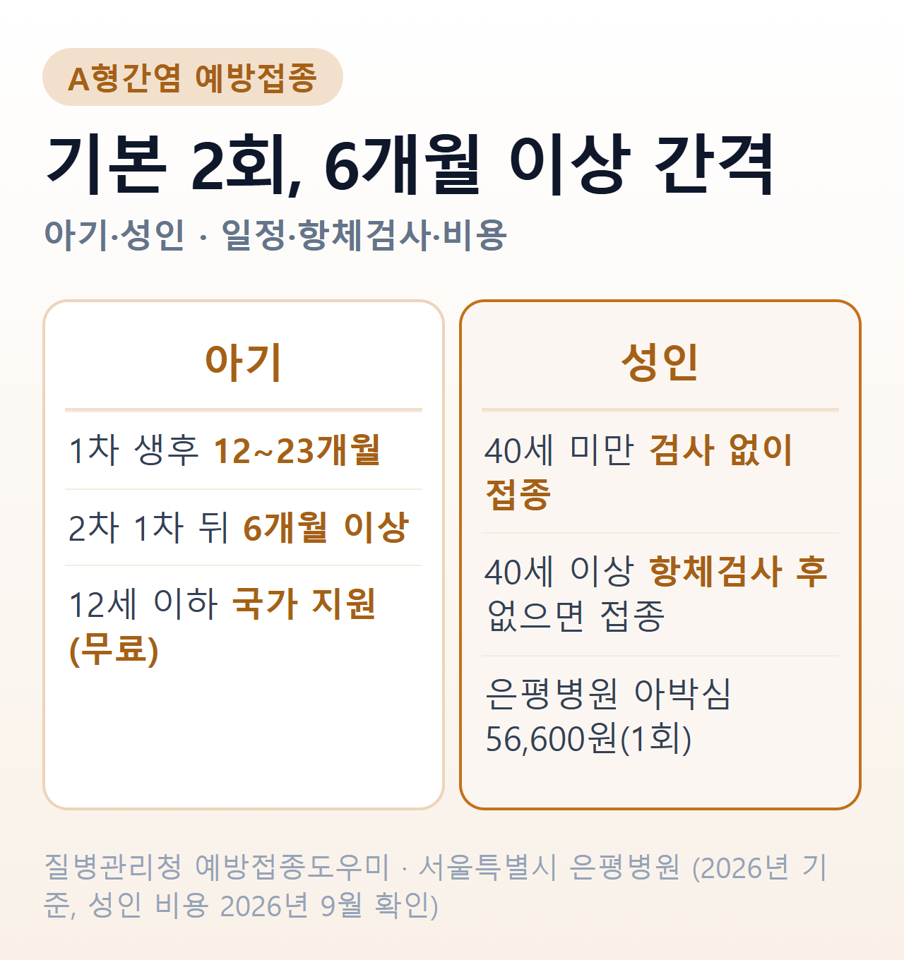 A형간염 예방접종 한눈에 — 아기는 생후 12~23개월 1차와 6개월 이상 뒤 2차를 무료로, 성인은 40세 이상이면 항체검사 후 접종하고 1회 56,600원 사례